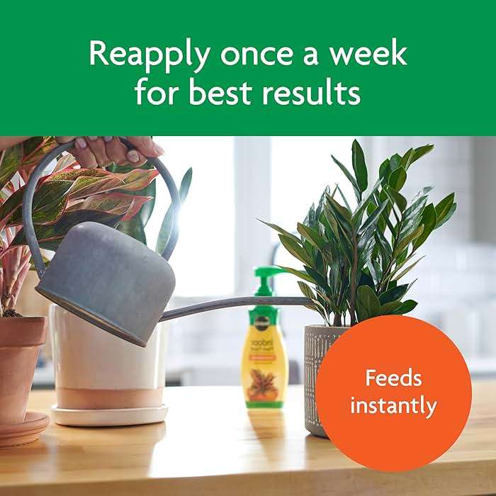 Miracle-Gro Indoor Plant Food, Liquid Plant Food for Houseplants, Snake Plants, Peace Lilies, Flowers, Vegetables, Herbs and More, 8 oz., 2-Pack - Image 6