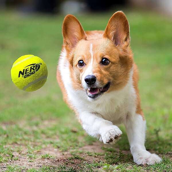 Nerf Dog Large Size Tennis Ball Blaster Dog Toy, Great for Fetch, Hands-Free Reload, Launches up to 50 ft, Single Unit, 20in Blaster with 3 Balls in Mesh Bag, Blue/Orange, Blue, Green and Orange - Image 5