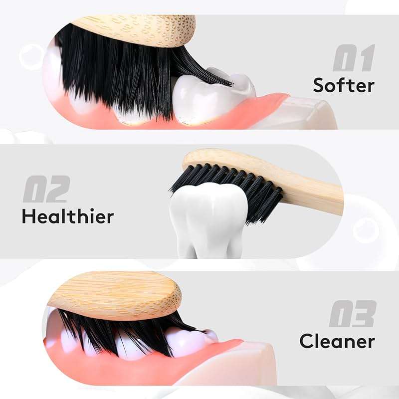 Virgin Forest 10 Count Bamboo Toothbrush, Soft Bristle for Adults, Eco Friendly Natural Wooden Toothbrushes, Vegan Organic Bamboo Travel Tooth Brush (10 Colors) - Image 2