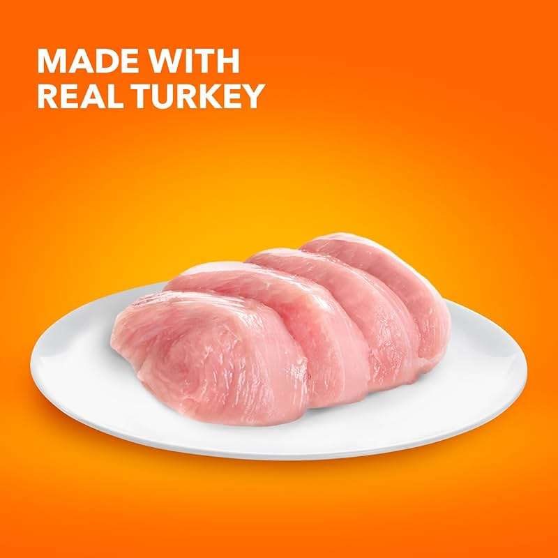 IAMS Proactive Health Sensitive Digestion & Skin Dry Cat Food, Adult Cat Food Dry Recipe with Real Turkey, 13 lb. Bag - Image 3