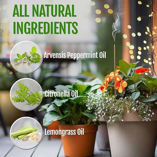 Farm Raised Candles Mintronella USA Made Citronella & Peppermint Mosquito Repellent Incense Sticks – 100 Pack – Natural Bug & Insect Repellent – Outdoor Camping, Patio Decor – No‑See‑Um & Gnats, Fly - Image 4