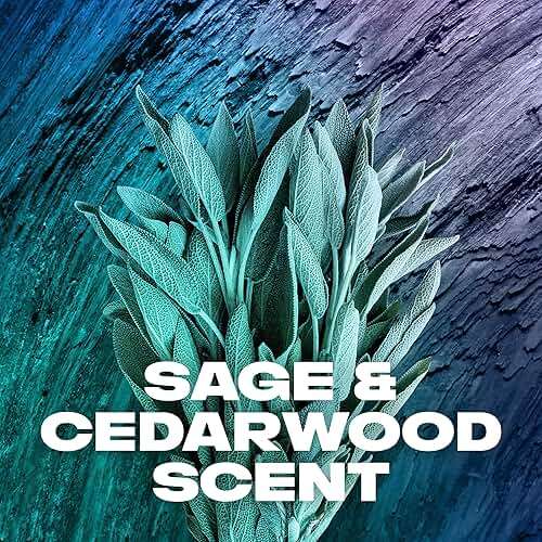 AXE Sage & Cedarwood Body Wash Apollo 4 Count for Long Lasting Freshness Men's Body Wash with Odor-Busting Prebiotics 16 oz - Image 8
