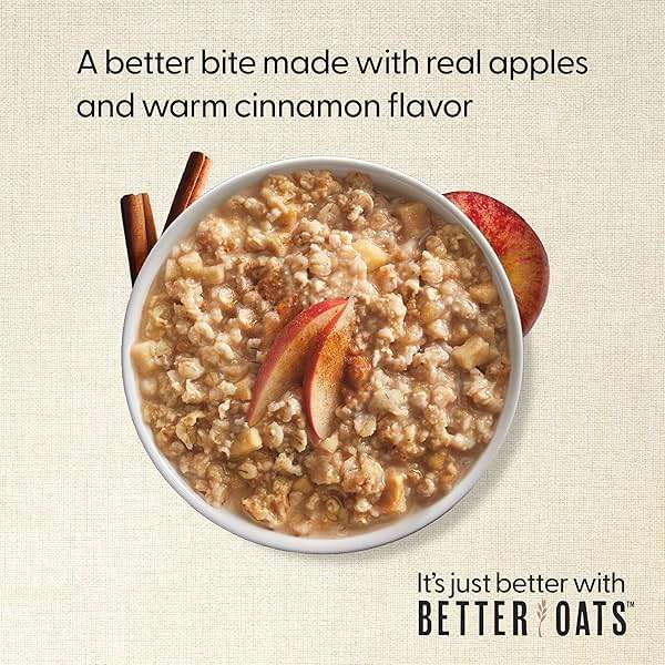 Better Oats 100 Calorie Apples and Cinnamon Oatmeal Packets, Instant Breakfast with Flax Seeds and Natural Apple-Cinnamon Flavor, Quick Cooking, Box of 10 Pouches (Pack of 6) - Image 8