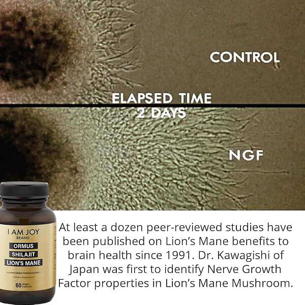 I Am Joy co. Ormus Shilajit Lion's Mane - Ultimate Brain Power! Monoatomic 24k Gold - The Only Blend of Its Kind for Energy, Memory, & Focus - 60 Vegan Capsules - Image 4