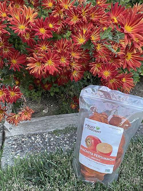 Fruit for Thought Dried Persimmons | Dried Fruit Snack Packs | At Home, Work, or On The Go | Unsweetened Hachiya Persimmon | 12 Ounce Bags Pack of 2 - Image 5