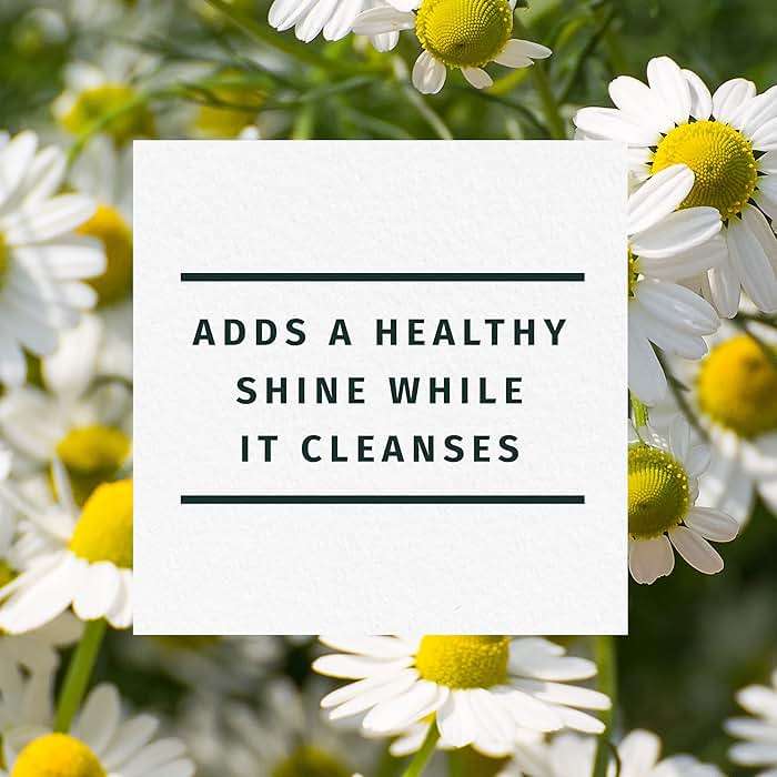 Herbal Essences Shine Collection Shampoo - Image 3