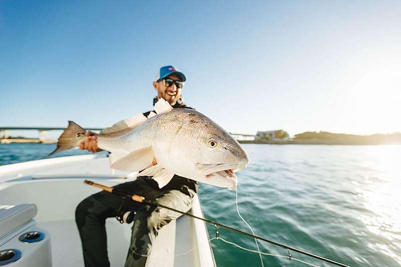 Penn Clash II Spinning Reel - Lightweight Saltwater Shore and Kayak Fishing Reel for Lure Fishing - Sea Fishing Reel for Bass, Pollack, Cod, Wrasse - Image 13