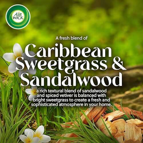 Air Wick Vibrant Plug-In Scented Oil Refills, 10 Count, Sweetgrass & Sandalwood, Air Freshener, Essential Oils, Eco Friendly - Image 6