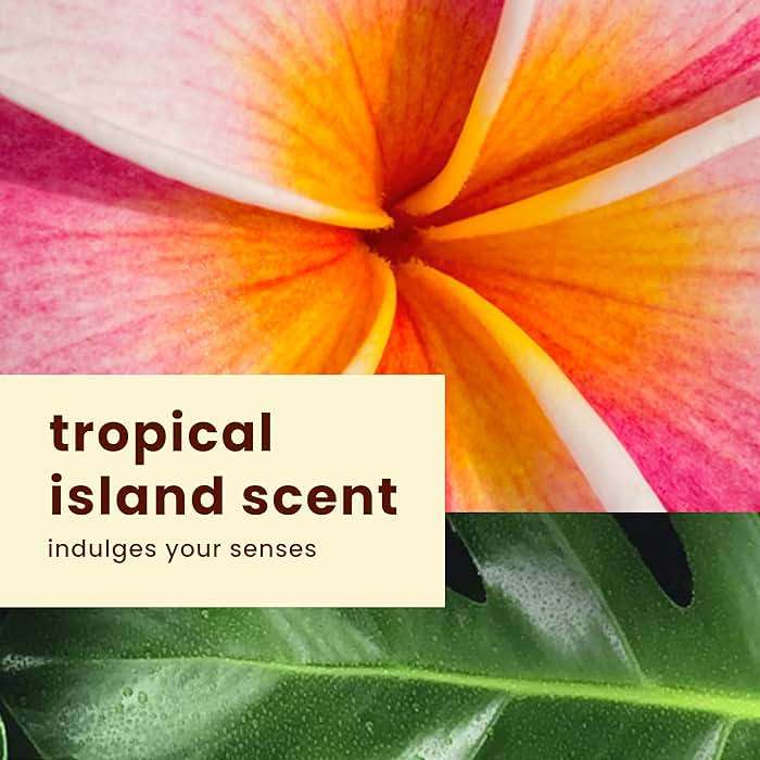Hawaiian Tropic Silk Hydration Weightless Sunscreen Pack - SPF 30 Broad Spectrum Sunscreen Lotion (6oz) & Face Lotion (1.7oz) - Image 6