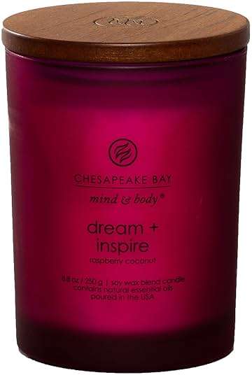 Chesapeake Bay Candle PT41689 Candle Medium Jar Dream & Inspire Home Décor - Image 1