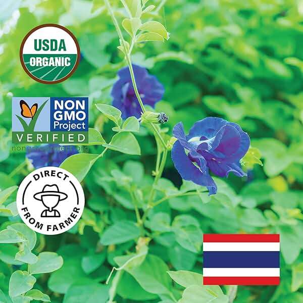 INCAS 100% USDA Organic Butterfly Pea Flower 4.41 oz (375+ Cups) DIRECT FROM SOURCE Thailand Non GMO Verified Dried Caffeine Free Gluten Free Vegan Rich in Antioxidants Free eBook - Image 2