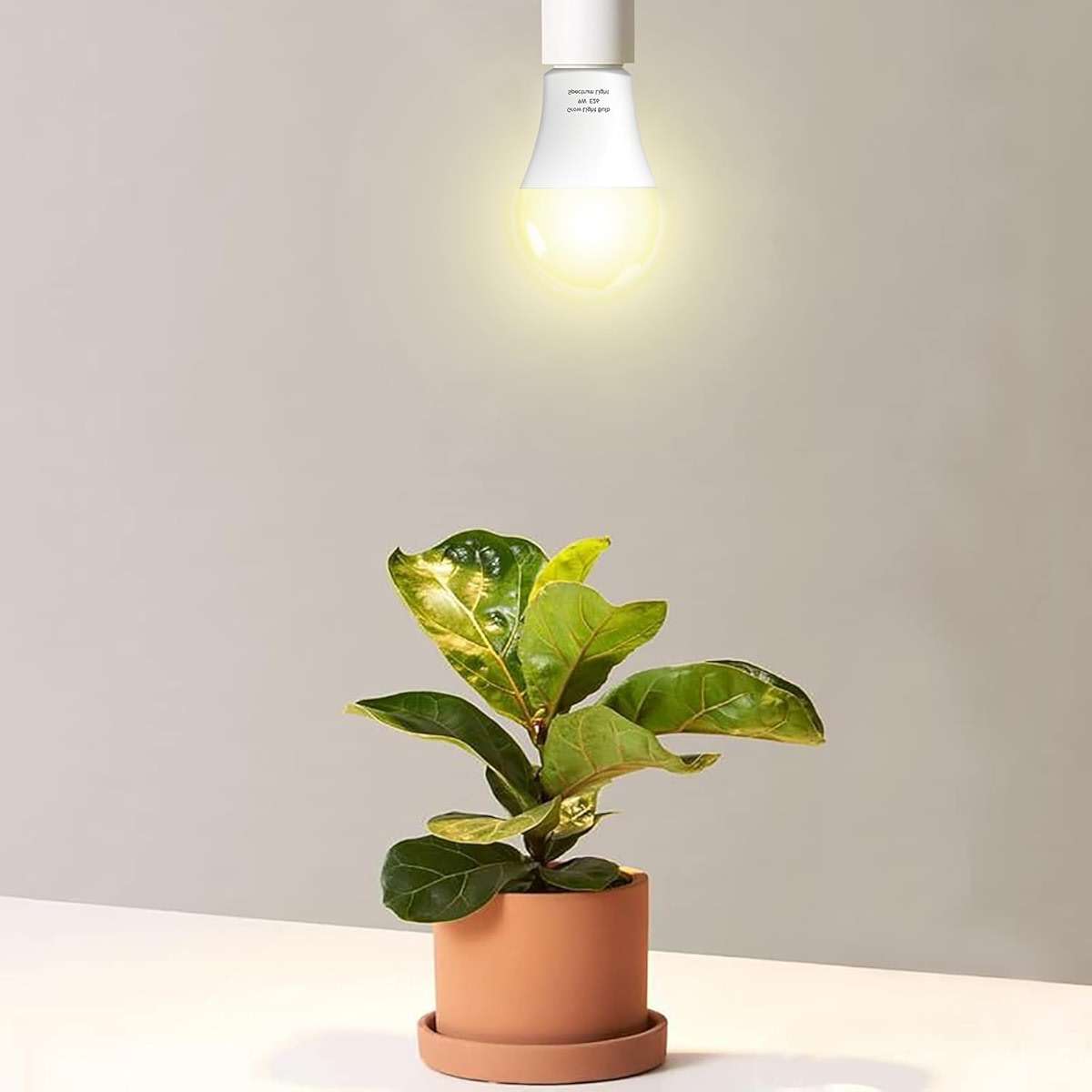 Wiyifada 3 Pack Full Spectrum Grow Light Bulbs,A19 Grow Lights for Indoor Plants,Dimmable E26 9W Grow Bulb Replace up to 100W,Plant Lights for Indoor Growing,Flowers,Greenhouse,Indore - Image 2