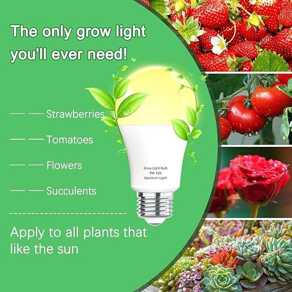 Wiyifada 3 Pack Full Spectrum Grow Light Bulbs,A19 Grow Lights for Indoor Plants,Dimmable E26 9W Grow Bulb Replace up to 100W,Plant Lights for Indoor Growing,Flowers,Greenhouse,Indore - Image 3