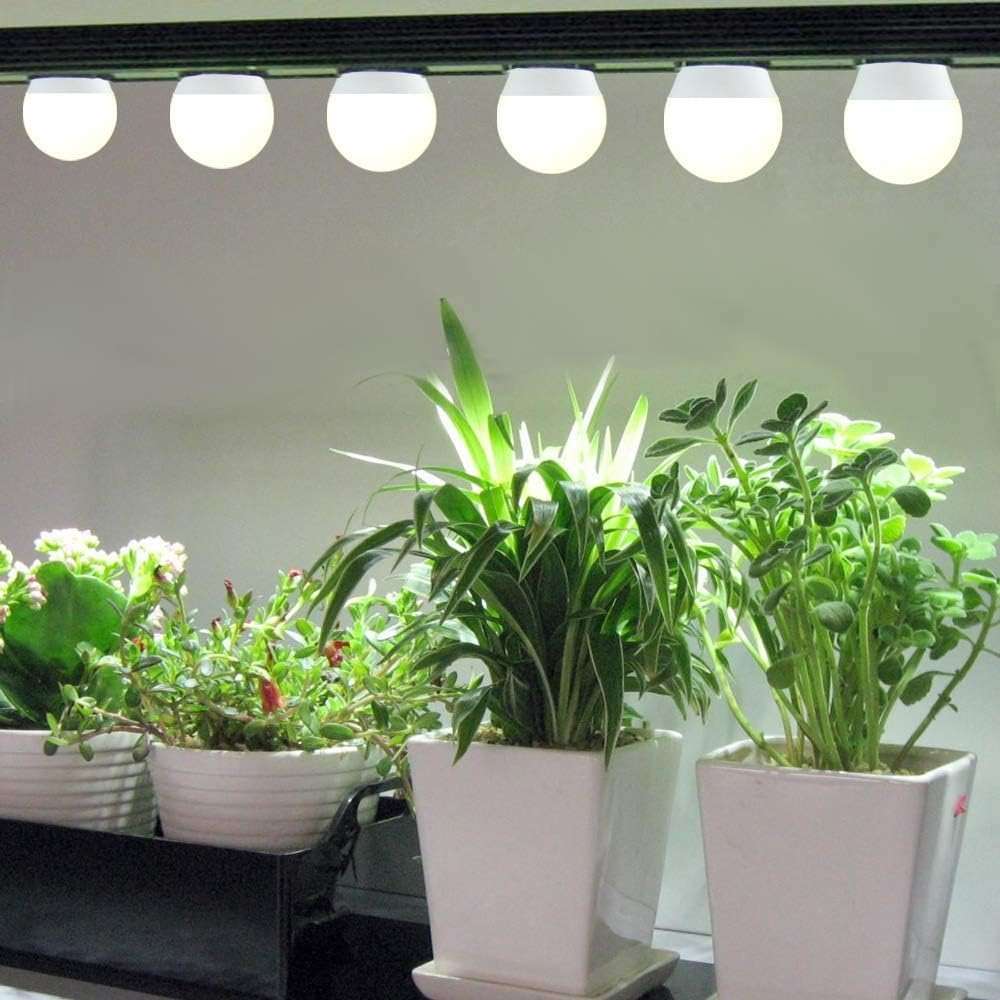 Wiyifada 3 Pack Full Spectrum Grow Light Bulbs,A19 Grow Lights for Indoor Plants,Dimmable E26 9W Grow Bulb Replace up to 100W,Plant Lights for Indoor Growing,Flowers,Greenhouse,Indore - Image 6