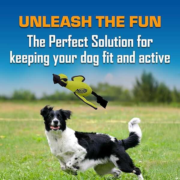 Nerf Dog Trackshot Launching Duck Dog Toy, 16.5 Dog Fetch Toy for Medium and Large Breeds, Green - Image 4