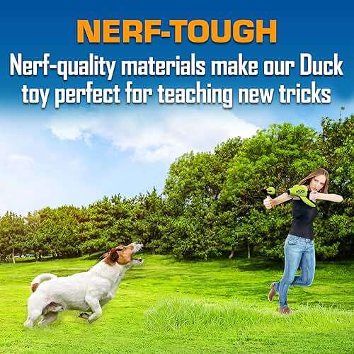 Nerf Dog Trackshot Launching Duck Dog Toy, 16.5 Dog Fetch Toy for Medium and Large Breeds, Green - Image 5