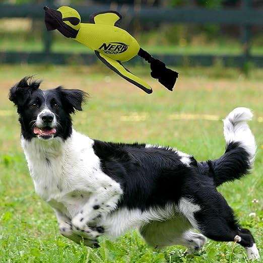 Nerf Dog Trackshot Launching Duck Dog Toy, 16.5 Dog Fetch Toy for Medium and Large Breeds, Green - Image 8
