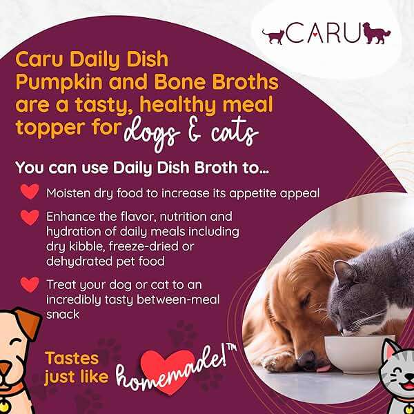 Caru - Daily Dish Chicken Bone Broth - Meal Topper for Dogs & Cats - Supports Overall Pet Health - Pour-Over Broth for Wet/Dry Food - Human Grade Ingredients - Non-GMO - Made in USA - 17.6 oz - 1 Pack - Image 2