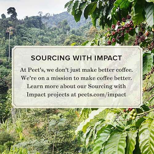Peet's Coffee, Dark Roast Ground Coffee, 100% Arabica Coffee - Major Dickason's Blend 18 Ounce Bag - Image 4