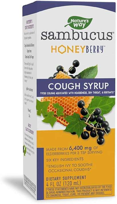Nature's Way Sambucus Cough + Immune* Elderberry Syrup, Soothes Coughs Associated with Hoarseness, Dry Throat, and Irritants* Vitamin C, Zinc, Organic Honey, 4 Fl Oz (Packaging May Vary) - Image 1