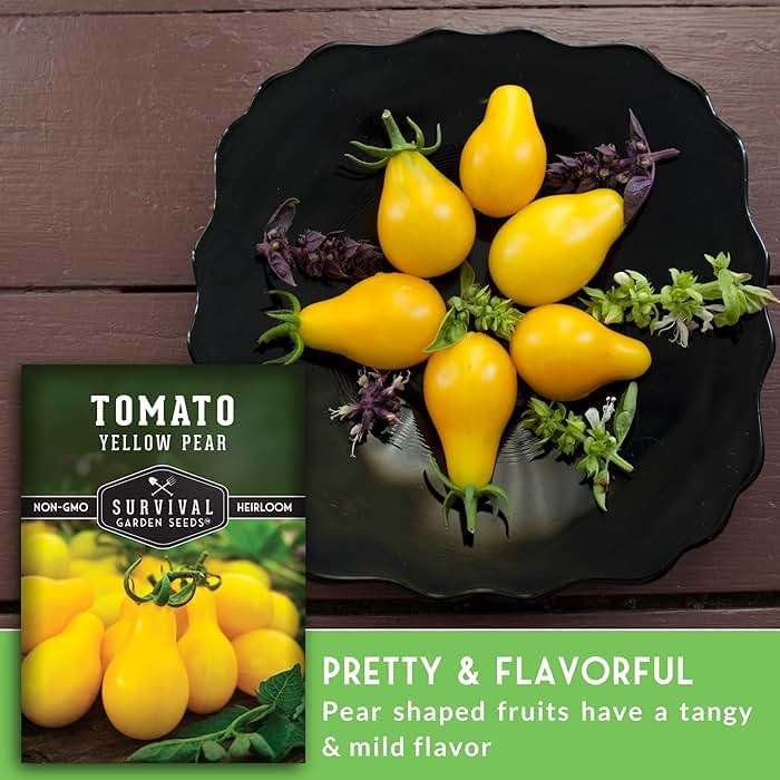 Yellow Pear Tomato Seeds for Planting - Heirloom Indeterminate Variety - Prolific Clusters of Sweet Pear-Shaped Golden Cherry Tomatoes, High Yield, Non-GMO - Survival Garden Seeds (1 Pack) - Image 4
