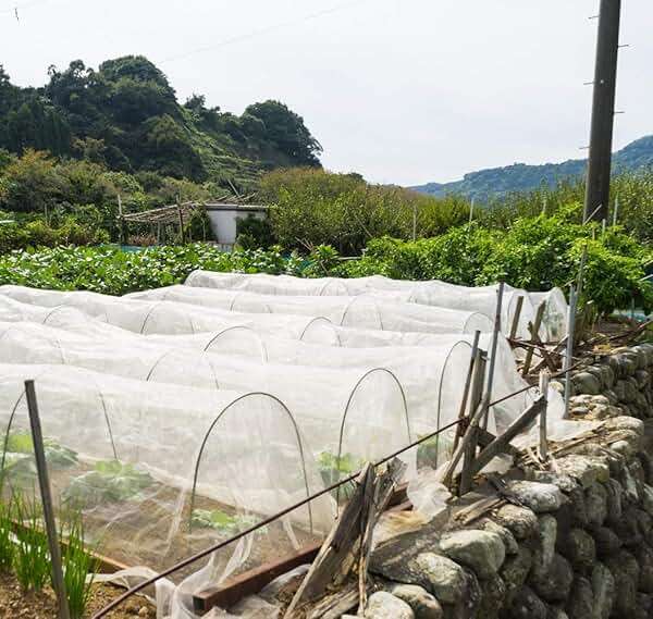 Garden Netting Pest Barrier: 4'x10' Fine Bug Netting for Garden Protection Row Cover Raised Bed Screen Mesh Greenhouse Mosquito Net, Protecting Tree Plants Vegetable Flowers Fruits - Image 2