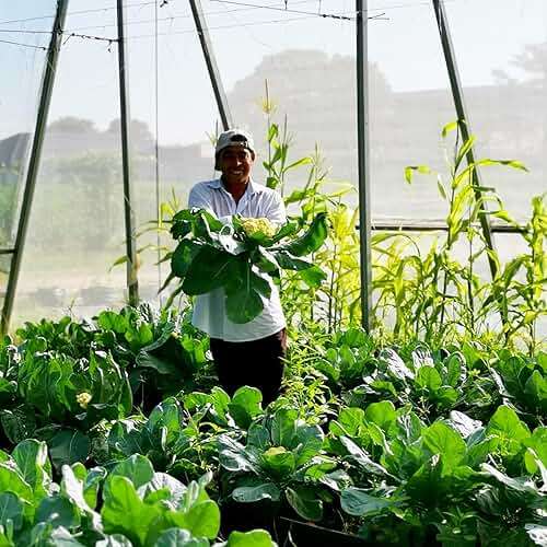 Garden Netting Pest Barrier: 4'x10' Fine Bug Netting for Garden Protection Row Cover Raised Bed Screen Mesh Greenhouse Mosquito Net, Protecting Tree Plants Vegetable Flowers Fruits - Image 5