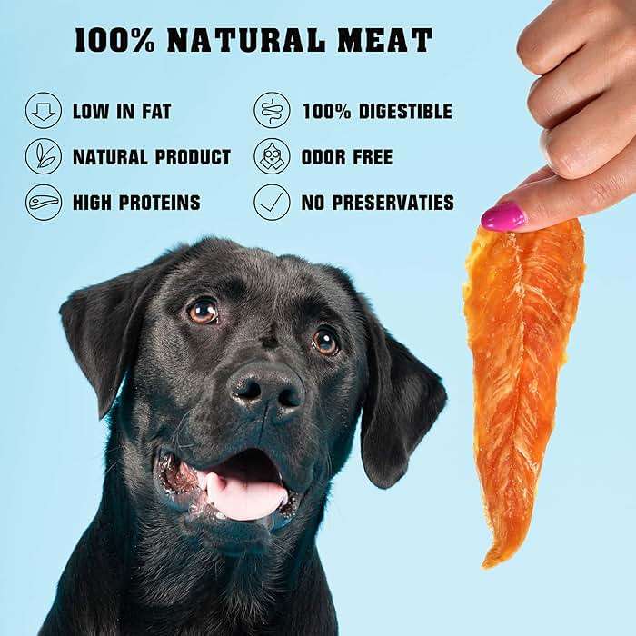 Beloved Pets Dog Treats Chicken Jerky 1.5 lb – Dog Food & High Protein Chews for Large, Medium & Small Breeds – Natural Healthy Training Snacks Strips – Human Grade Bulk Soft Pack – Made for USA - Image 3