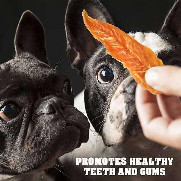 Beloved Pets Dog Treats Chicken Jerky 1.5 lb – Dog Food & High Protein Chews for Large, Medium & Small Breeds – Natural Healthy Training Snacks Strips – Human Grade Bulk Soft Pack – Made for USA - Image 4