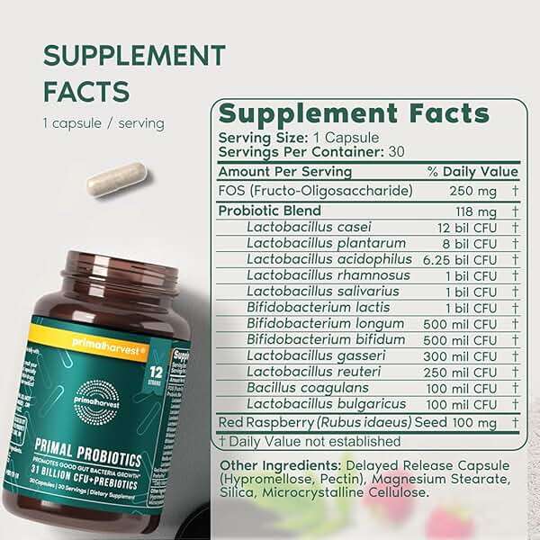 Primal Harvest Probiotics for Women & Men Daily Probiotic Supplement with 12 Strains for Gut & Digestive Health 30 Capsules - Image 2