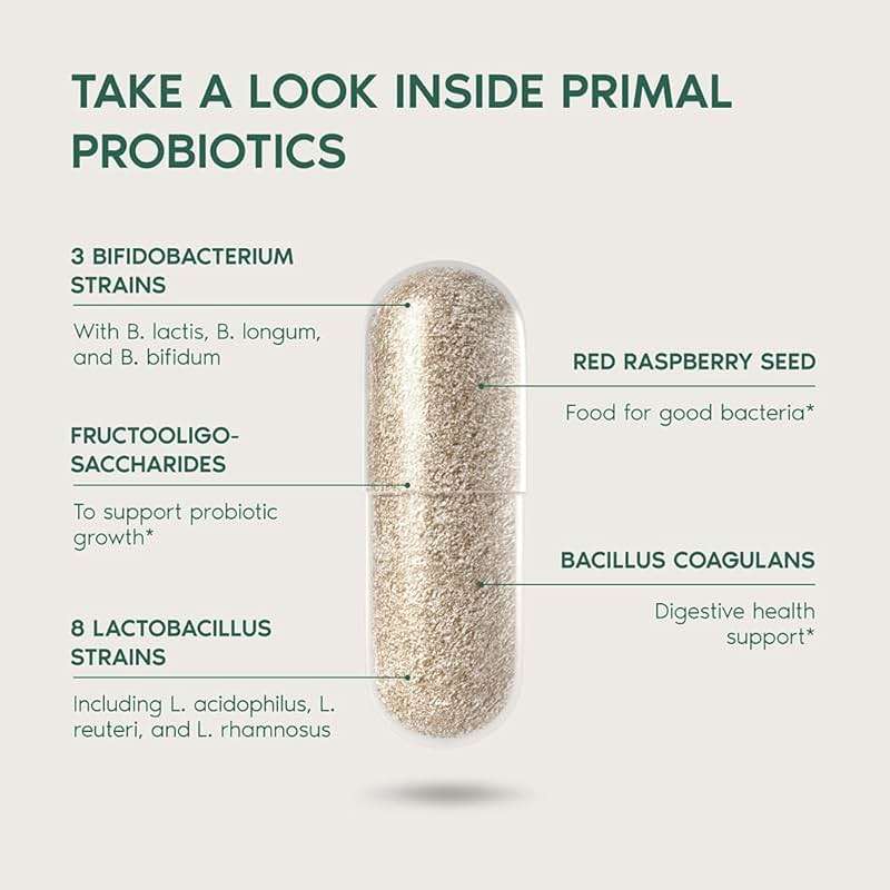 Primal Harvest Probiotics for Women & Men Daily Probiotic Supplement with 12 Strains for Gut & Digestive Health 30 Capsules - Image 3