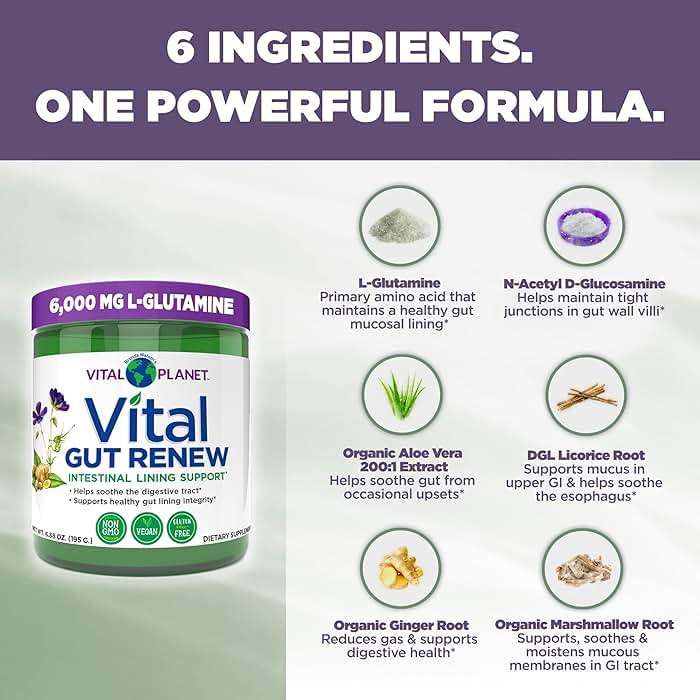 Vital Planet - Vital Gut Renew Powder Supplement for Leaky Gut Repair with L-Glutamine, Marshmallow and Ginger Root, DGL Licorice Root and Organic Aloe Vera, L Glutamine 6000mg 6.88 oz - Image 3
