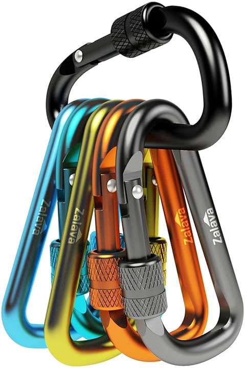 Zalava 6PCS Carabiner Keychain, 2 inch Aluminum D-Clip Caribeener with Hook - Image 1