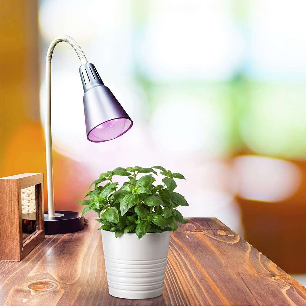 Feit Electric A19/GROW/LEDG2/BX Full Spectrum Led 60W Equivalent A19 Non-Dimmable Hydro Grow Light Bulb, Green - Image 2
