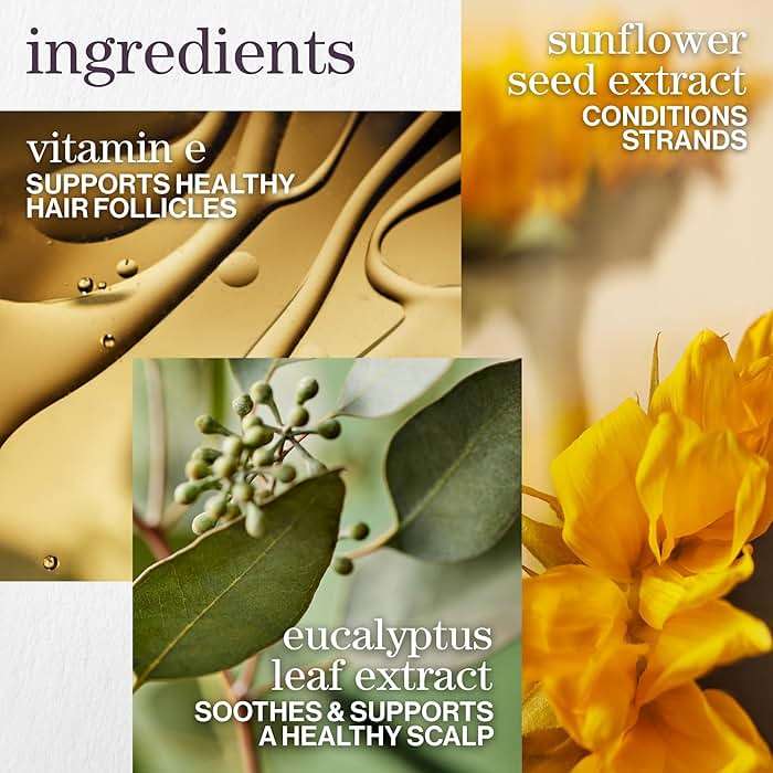 Pureology Pure Volume Shampoo - Enhances Volume and Movement, Lightweight Shampoo for Fine, Flat, Color Treated Hair, Sulfate-Free & Vegan - Image 5