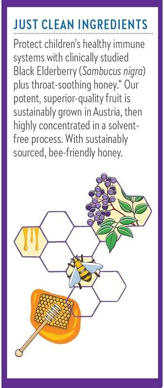 New Chapter Elderberry Kids Syrup, Advanced Immune Defense for Ages 2+, 64x Concentrated Elderberry, Sweetened with Throat-Soothing Grade A Honey, Non-GMO Project Verified, 4 Fl Ounce - Image 7