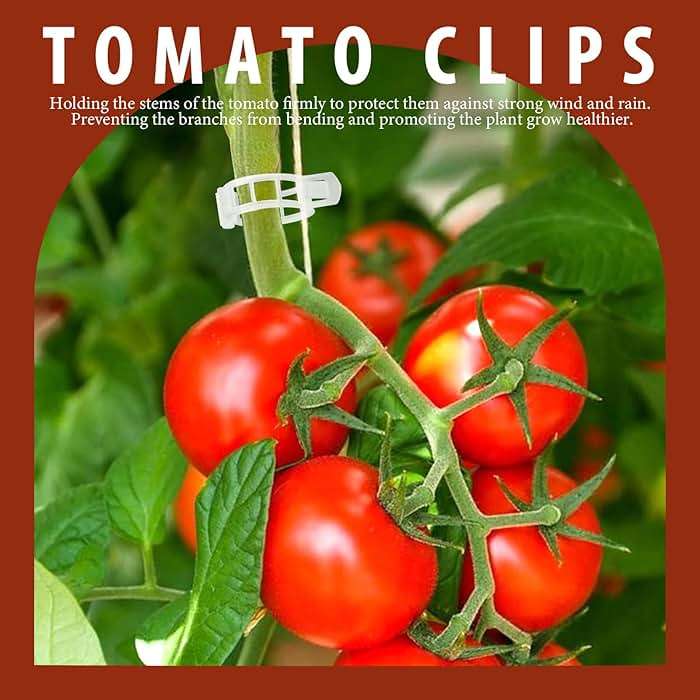FANDAMEI 300 PCS Plant Support Clips, Plastic Garden Plant Ties, Tomato Clips Trellis for Tomato Cucumber Flower Squash Vine, 1” Inner Diameter for Climbing Plants - Image 2