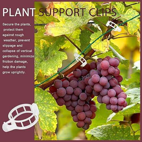 FANDAMEI 300 PCS Plant Support Clips, Plastic Garden Plant Ties, Tomato Clips Trellis for Tomato Cucumber Flower Squash Vine, 1” Inner Diameter for Climbing Plants - Image 6