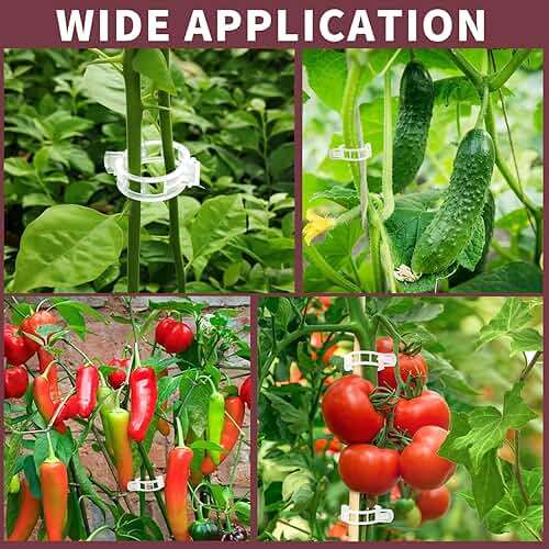 FANDAMEI 300 PCS Plant Support Clips, Plastic Garden Plant Ties, Tomato Clips Trellis for Tomato Cucumber Flower Squash Vine, 1” Inner Diameter for Climbing Plants - Image 7