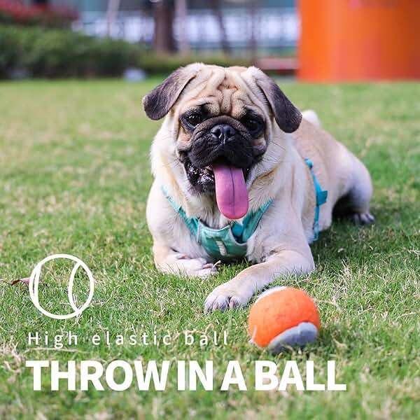 PAWISE Dog Ball Launcher for Medium Dogs, 12.2" Dogs Fetch Toy with 2.5" Tennis Balll, Portable Dog Tennis Ball Thrower for Indoor & Outdoor Play, Lightweight, Durable & Hands-Free Pick-Up - Image 6