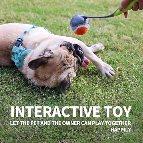 PAWISE Dog Ball Launcher for Medium Dogs, 12.2" Dogs Fetch Toy with 2.5" Tennis Balll, Portable Dog Tennis Ball Thrower for Indoor & Outdoor Play, Lightweight, Durable & Hands-Free Pick-Up - Image 7