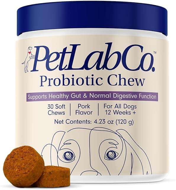 PetLab Co. Probiotics for Dogs, Support Gut Health, Occasional Diarrhea, Digestive Health & Seasonal Allergies - Pork Flavor - 30 Soft Chews - Packaging May Vary - Image 1