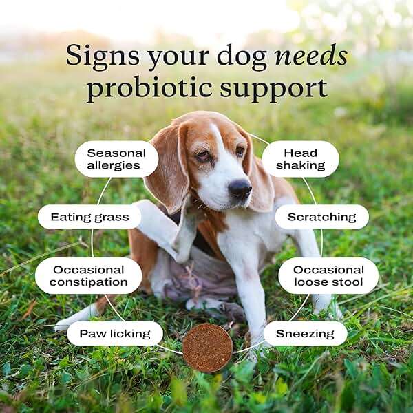 PetLab Co. Probiotics for Dogs, Support Gut Health, Occasional Diarrhea, Digestive Health & Seasonal Allergies - Pork Flavor - 30 Soft Chews - Packaging May Vary - Image 5