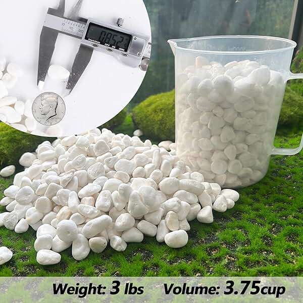 CJGQ White Pebbles for Plants Garden Vases 3 lb White Rocks Gravel Decorative Stone 1/2" - Image 3