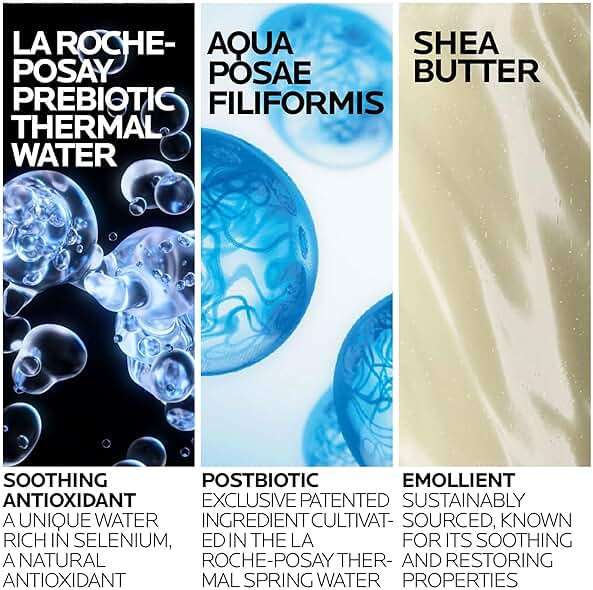 La Roche-Posay Lipikar AP+ Gentle Foaming Moisturizing Wash, Shea Butter + Niacinamide + Glycerin, Moisturizing Body Wash For Dry Skin, National Eczema Association Accepted, Dermatologist Tested​ - Image 2