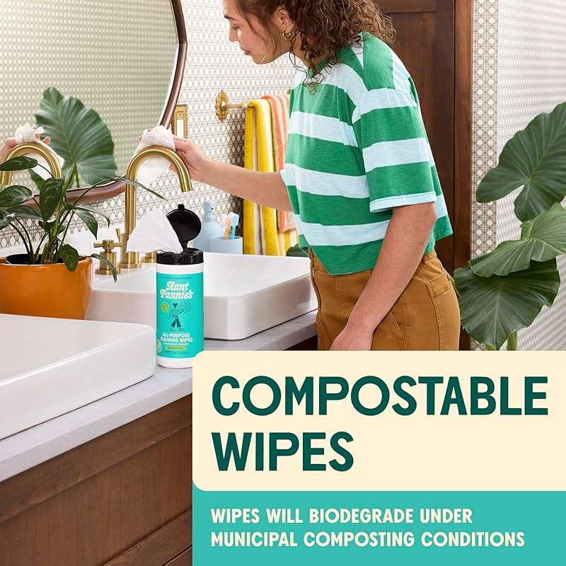 Aunt Fannie's Whole Home Cleaning Bundle: All Purpose Spray, Floor Cleaner, Glass & Window Cleaner, Multi-Surface Wipes, Carpet Refresher - Image 6