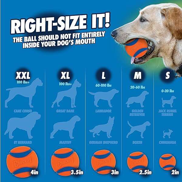 Chuckit! Fetch & Fold 25M Dog Ball Launcher, 25" Length, Includes Medium Ball (2.5") For Dogs 20-60 Pounds - Image 9