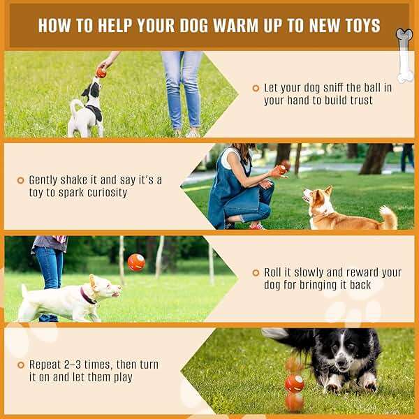 PetDroid Interactive Dog Toys Dog Ball, [Newly Upgraded] Durable Motion Activated Automatic Rolling Ball Toys for/Small/Medium/Large Dogs,USB Rechargeable(Orange) - Image 5