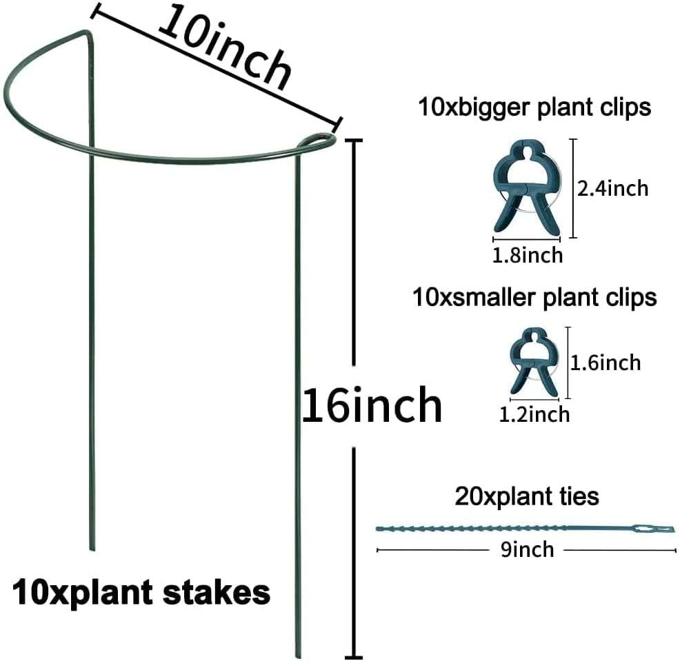TCBWFY 10 Pack Garden Plant Support Stakes,10" Widex16 High Heavy Duty Interlinked Half Round Peony Support Ring Cage for Indoor Outdoor Plants,Plant Supports for Peony,Tomato,Hydrangea,Rose - Image 3