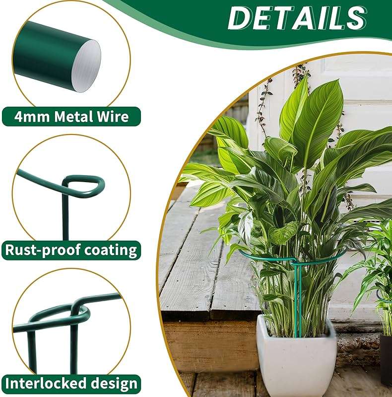 TCBWFY 10 Pack Garden Plant Support Stakes,10" Widex16 High Heavy Duty Interlinked Half Round Peony Support Ring Cage for Indoor Outdoor Plants,Plant Supports for Peony,Tomato,Hydrangea,Rose - Image 6